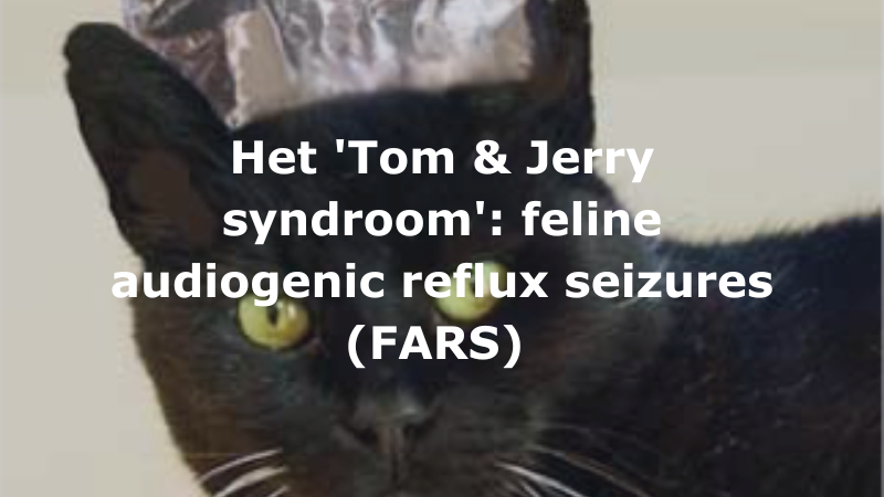 Het ‘Tom & Jerry syndroom’: feline audiogenic reflex seizures (FARS)
