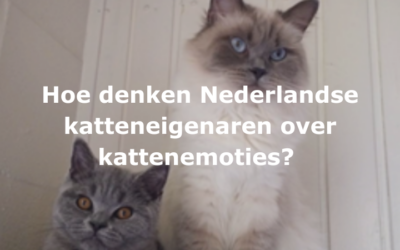 Hoe denken Nederlandse katteneigenaren over kattenemoties?