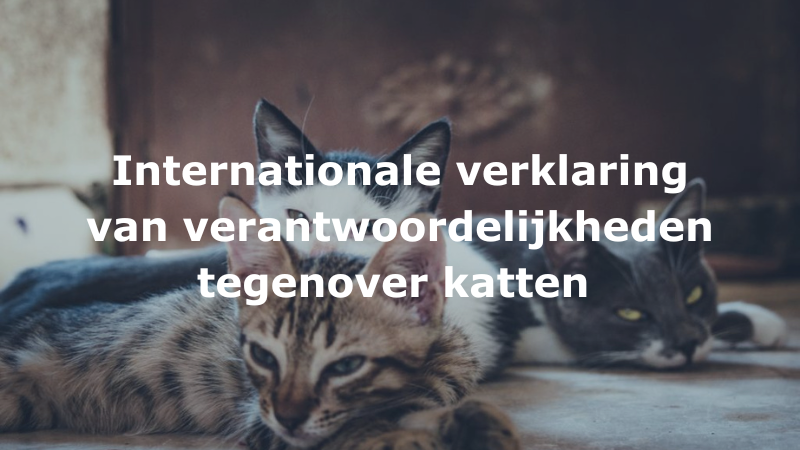 Internationale verklaring van verantwoordelijkheden tegenover katten