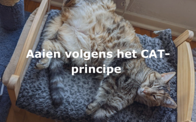 Aaien volgens het CAT-principe