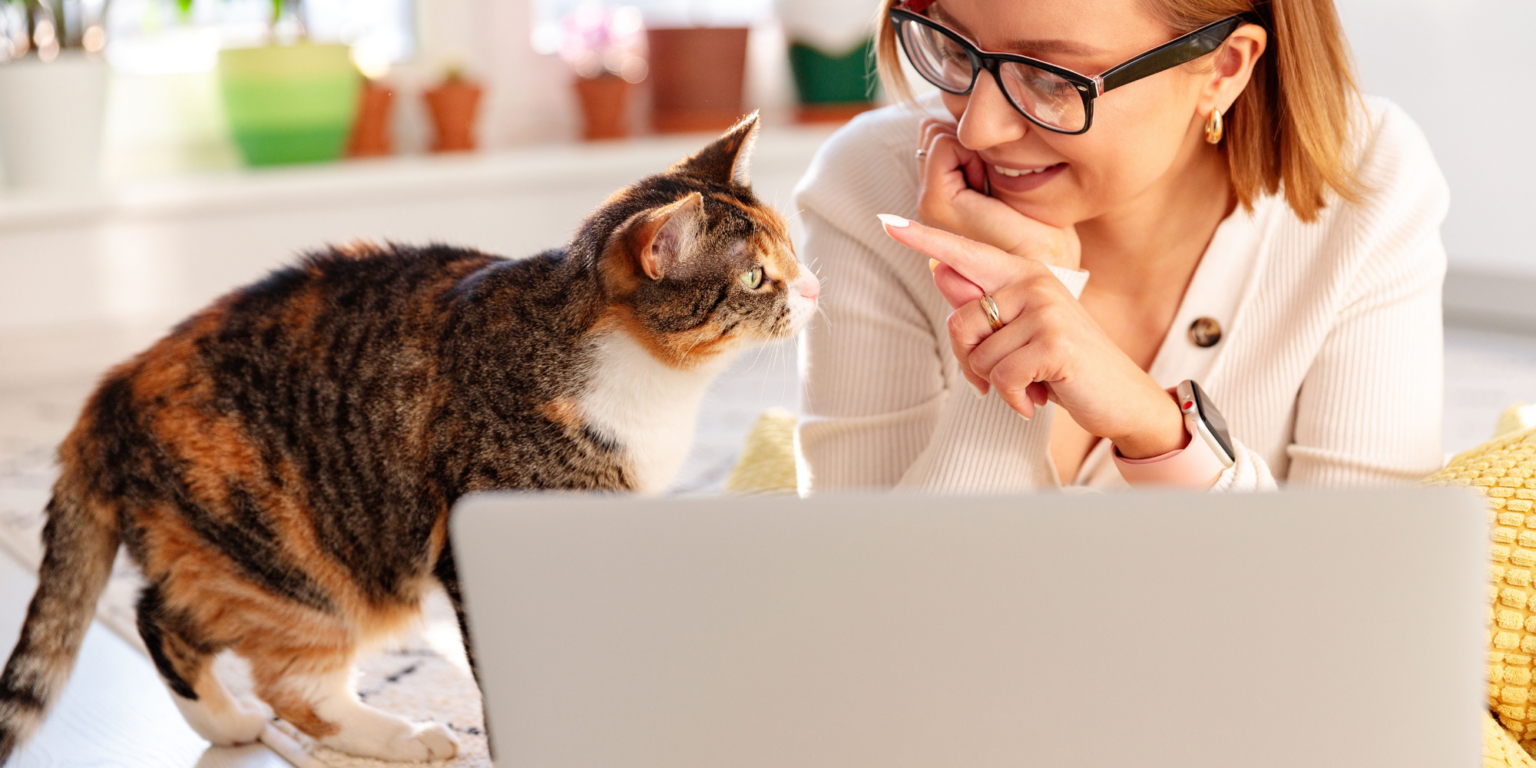 Vijf gezondheidsvoordelen van het hebben van een kat Katten Kenniscentrum Nederland