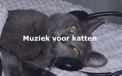 Muziek voor katten