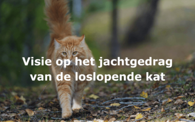 Beschermd: Visie op het jachtgedrag van de loslopende kat